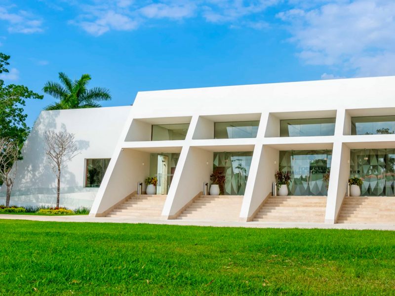 Universidad Anáhuac