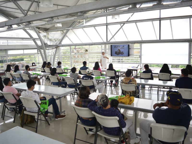 Universidad Gestalt de Diseño